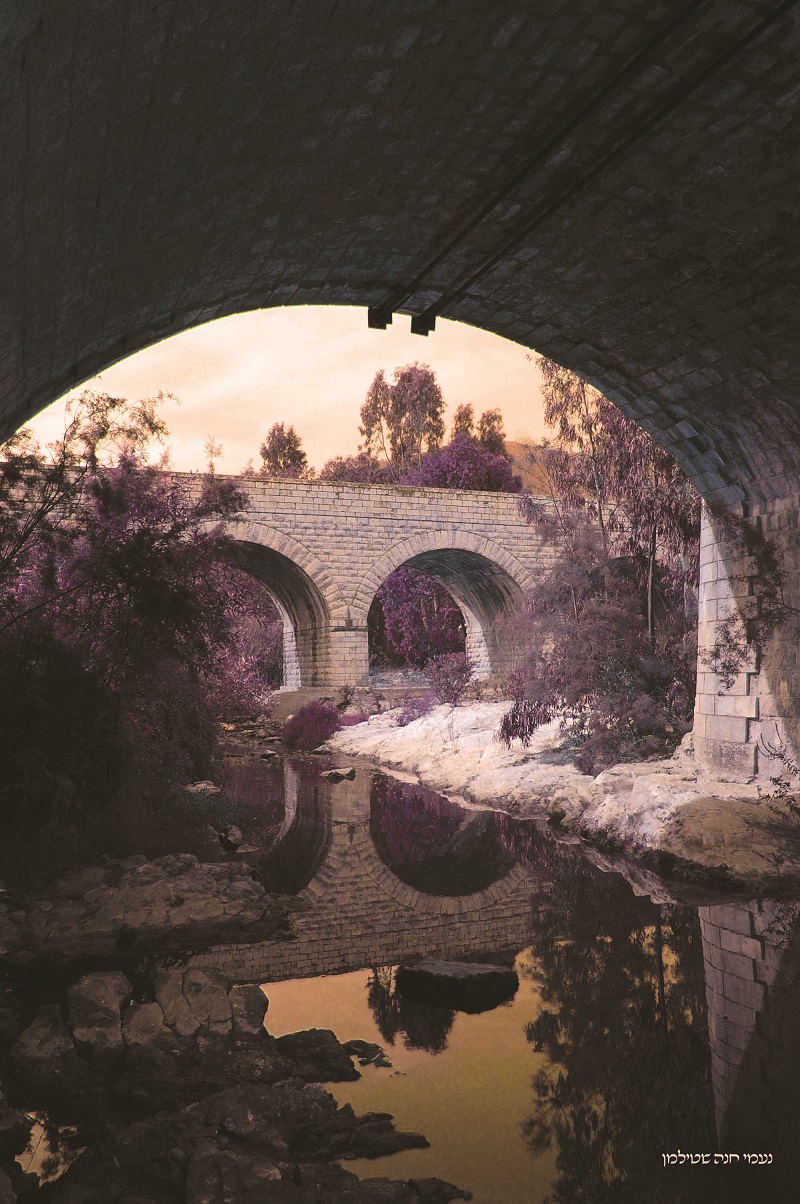 צילום ואיור ממוחשב, נעמי חנה שטילמן