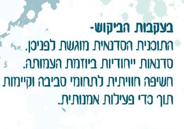 חדשות טובות! התכנית הסדנאית.