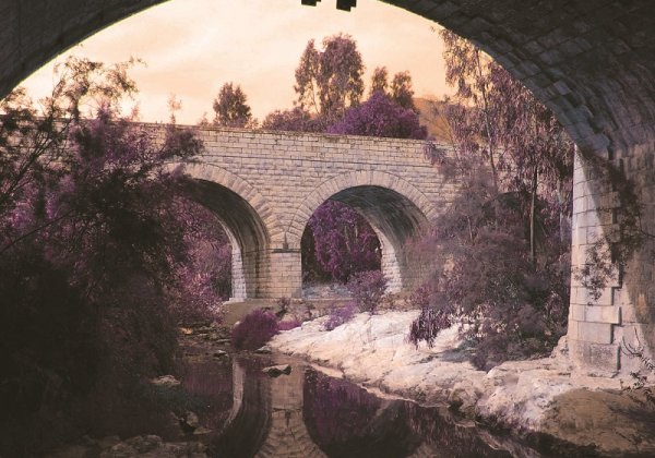 צילום ואיור ממוחשב, נעמי חנה שטילמן